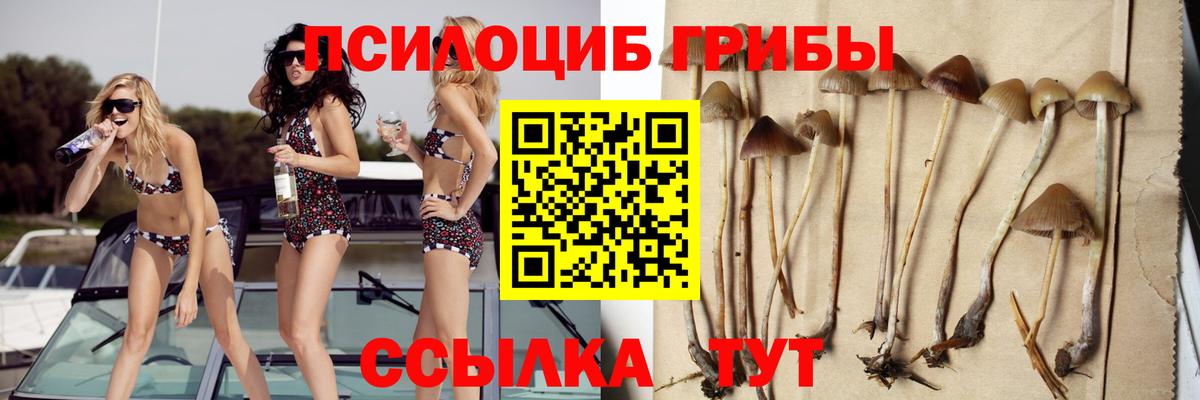 Псилоцибиновые грибы GOLDEN TEACHER  Вход с VPN  Псилоцибиновые грибы ЛСД  Кохма 