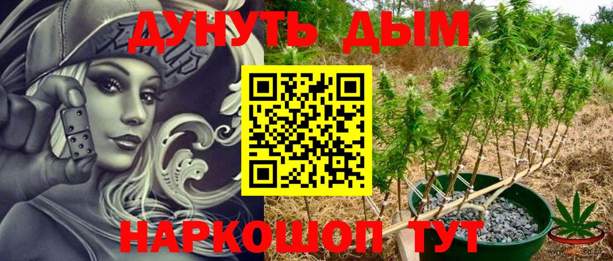 Бошки Шишки сатива  Бошки марихуана LSD WEED  МАРИХУАНА индика  Кохма  Вход с VPN 